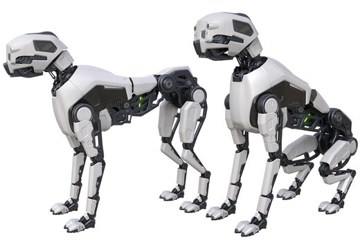 Robot dog 