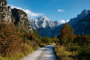 Path to the Mountains, Austria Almtal - 548252244