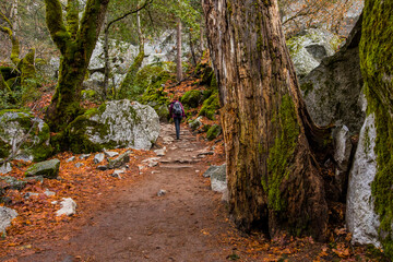 Girl in Yosemite National Park, Unites States Of America
