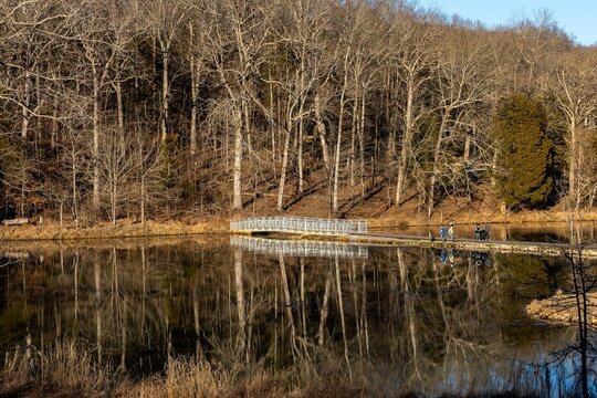 Landscape of a lake surrounded by bare trees in Dunbar Cave State Park, Clarksville, Tennessee