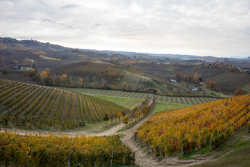 Fototapeta na wymiar Alba (CN), Italy - November 19, 2022: The Ceretto winery hill, Alba, Cuneo, Piedmont, Italy.