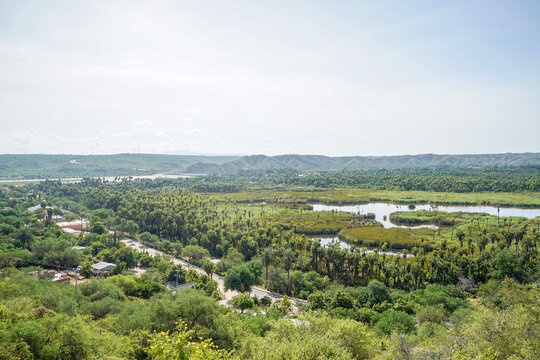 San Dionisio Oasis In Sierra De La Laguna Baja California Sur Mexico