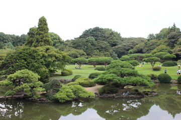 Parc japonais Tokyo Paysage arbre 