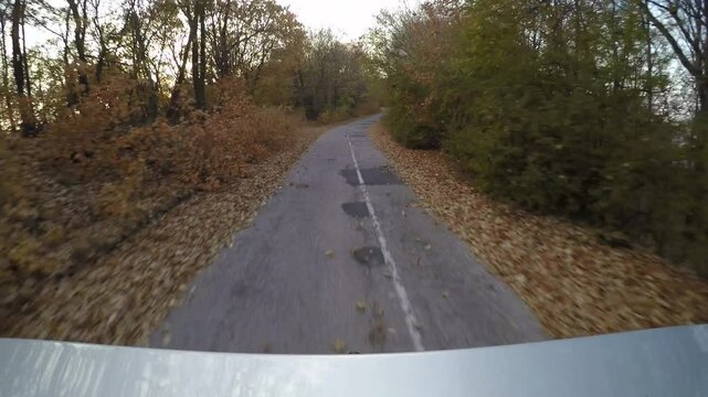 Driving a car fast on an old asphalt road passing through a autumn forest. The camera is mounted outside the vehicle and looking back. 
