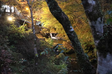 京都　貴船神社の紅葉