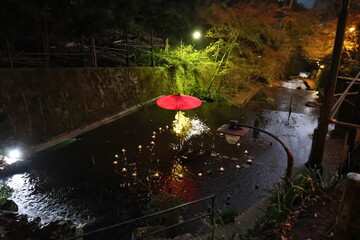 京都　貴船神社の紅葉