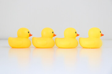 Four yellow rubber ducks in a row lined up in single file facing rightward direction, with reflection, idiom and phrase concept for organisation, to get one’s ducks in a row. Work and business speak.