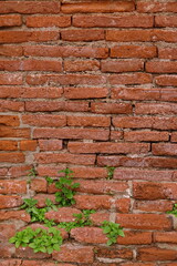 Old Bricks wall Ayutthaya background 