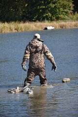 A waterfowl hunter retrieving decoys 