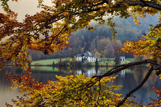 Colorful branch in front of the Langbathsee in Ebensee, Austria