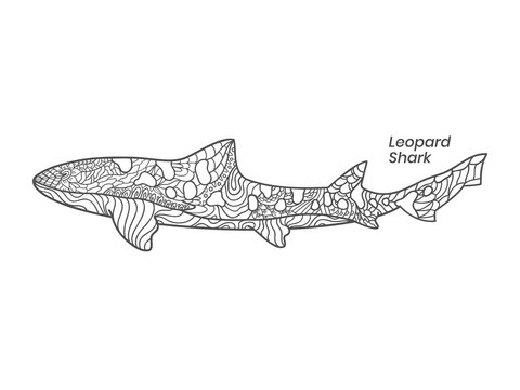Leopard shark zentangle illustration