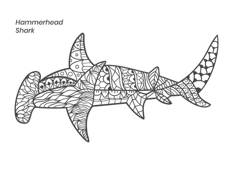 Hammerhead shark zentangle illustration