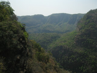 Diverse flora at Pachmarhi Biosphere Reserve, India