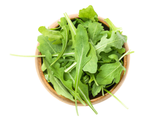 plate with fresh arugula leaves on white isolated background,top view