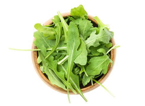 plate with fresh arugula leaves on white isolated background,top view