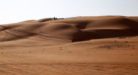 Fototapeta na wymiar Wahiba sand dunes, Oman