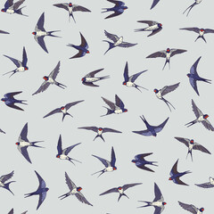 Swallow bird vector seamless pattern.