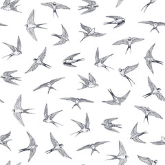Swallow bird vector seamless pattern.