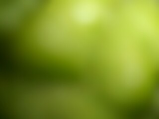 green bokeh background