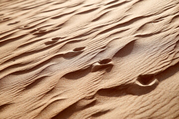 Fototapeta na wymiar Camel tracks in sand dunes, Oman