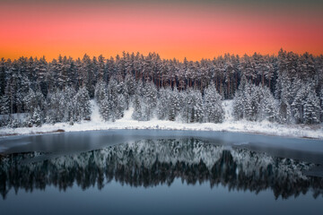 Colorful landscape with snowy trees and reflection at sunset time on the lake - obrazy, fototapety, plakaty