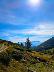 Fototapeta premium landscape in the mountains