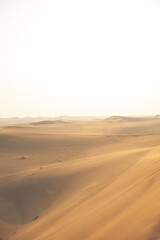 Plakat Sand dunes in the desert of Abu Dhabi