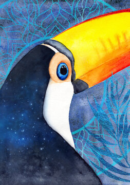 Watercolor picture of the colorful toucan bird with the big beak on the blue patterned background