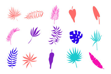 Fototapeta na wymiar Tropical Exotic Palm Leaf Plant Silhouette Symbol Minimalist Label Doodle Bright Element Plant Leaf Icon Clipart Set Collection