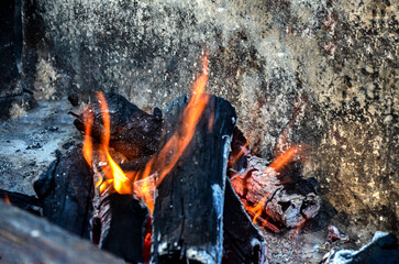 Blazing firewoods in close-up.