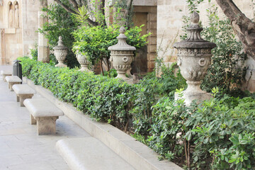 garden in the garden