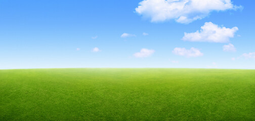 Fototapeta na wymiar green grass field landscape and blue sky background