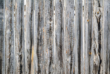Fototapeta premium Background textured abstract vertical wooden fence palings.