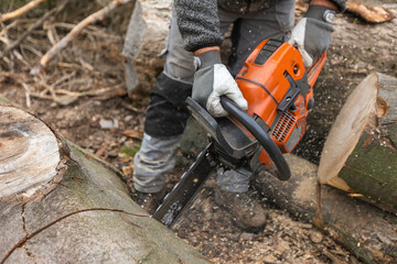 Young man cutting the huge felled wood by chainsaw, create winter wood stocks, industrial concept