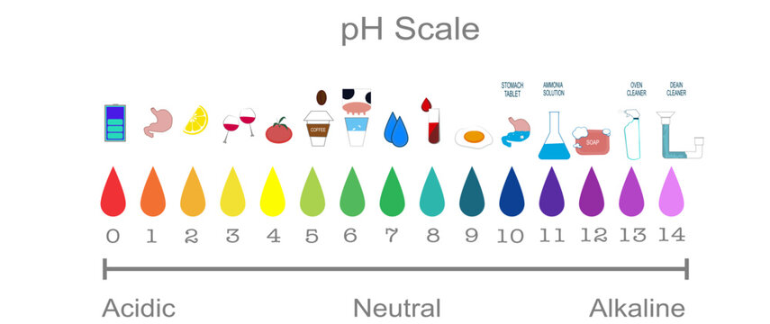 background pH scale fluid drop acidic neutral and alkaline science education chemistry illustration	