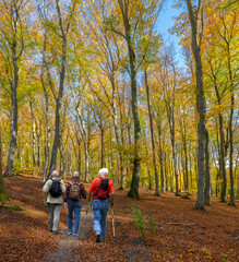 Rentner wandern im Herbstwald