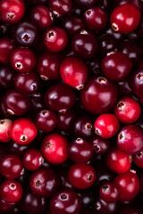 Macrophotography of cranberry berries. Background of red ripe berries.