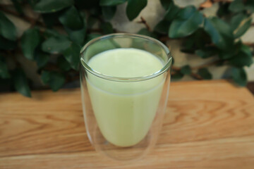 blended avocado , avocado smoothie or avocado  yogurt or avocado milk