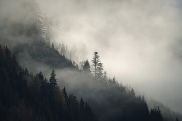 foggy landscape in the mountains at a autumn morning