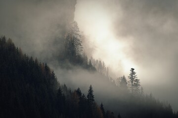 foggy landscape in the mountains at a autumn morning