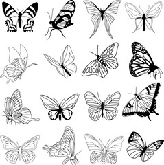 vector de bonitas mariposas II