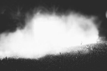 Crowd at concert and blurred stage lights.