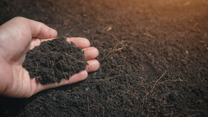 The benefits of nutrients in soil and plants