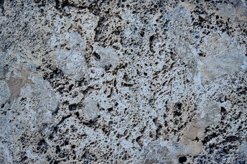 Weathered sandstone texture background with holes and veins. 
