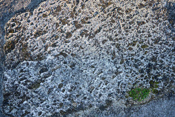 Weathered sandstone texture background with holes and veins. 