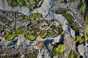 Weathered sandstone texture background with holes, veins and moss.