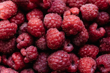 Raspberry background closeup. The concept of a healthy diet.Backdrop for your design.