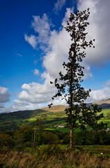 Fototapeta na wymiar The beautiful landscape of Snowdonia in Wales