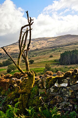 The beautiful landscape of Snowdonia in Wales