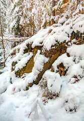 Winter landscape with snow-covered rocks and grass on the river bank